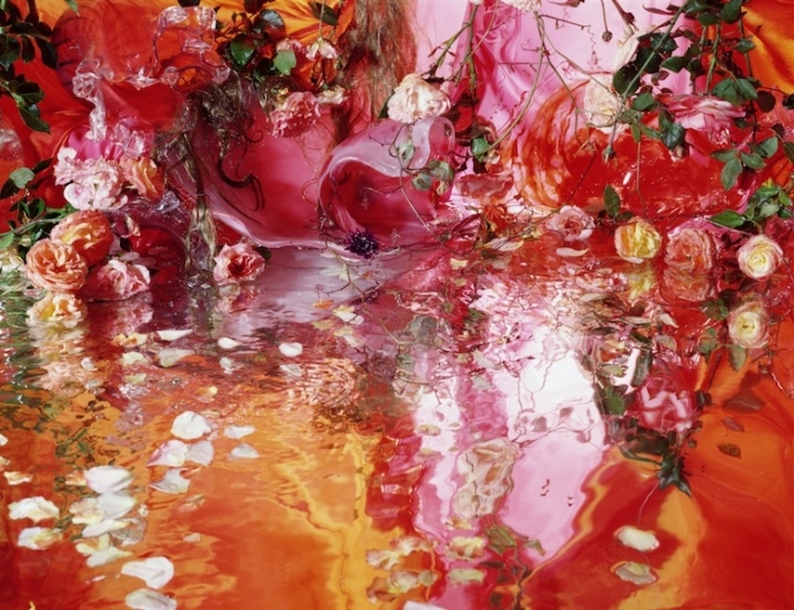 荷兰Margriet Smulders镜花水月般的摄影一