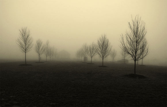 雾天风景摄影作品