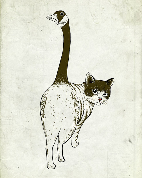 手绘动物海报设计欣赏