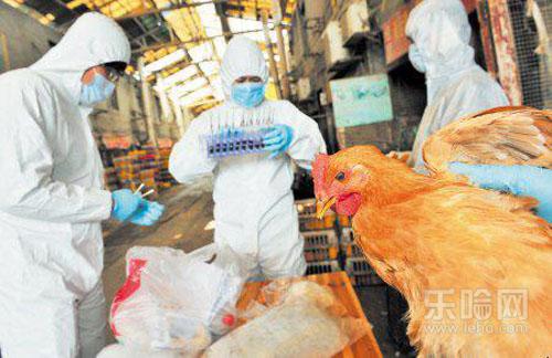 H5N6禽流感