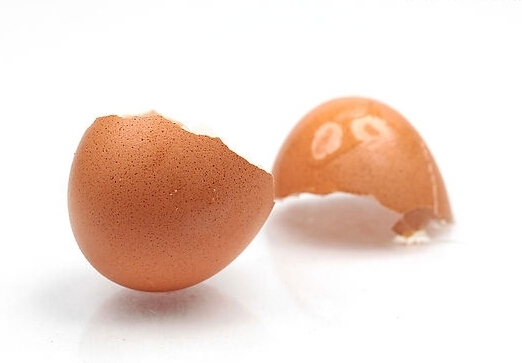 鸡蛋壳的美容药用功效-鸡蛋壳的主要成分
