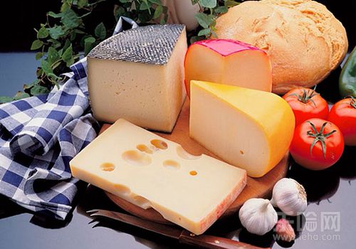 奶酪的营养成分