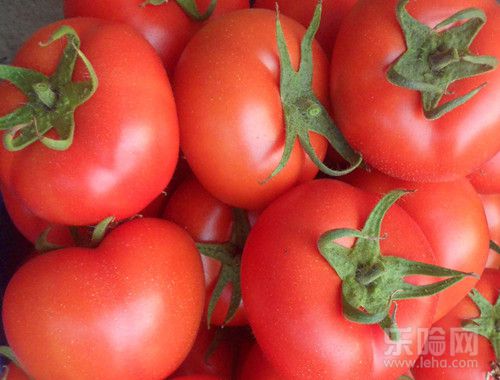 晚餐吃番茄比午餐更能有效减肥