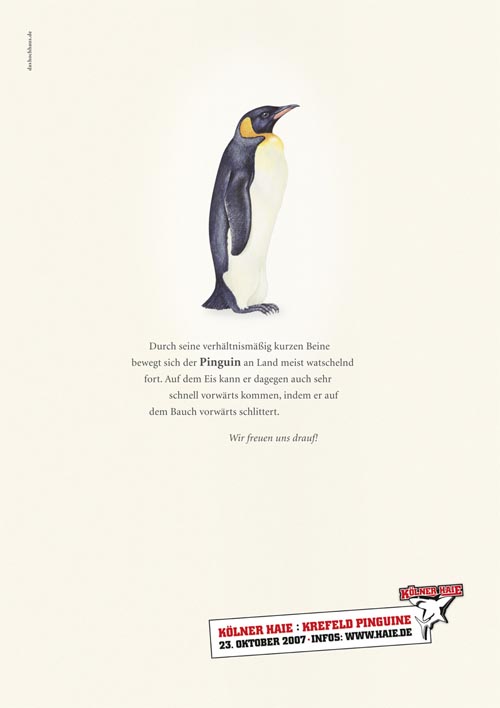 广告海报-Koelner Haie系列设计-动物篇