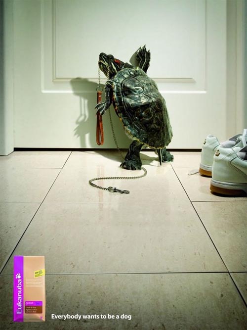 广告海报-非常有创意的动物广告设计欣赏