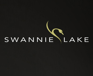 7. Swannie Lake 富有时代气息的Avenir字体配合平滑的图案，不但与该Logo完美贴合，而且增添了一许微妙的色彩。