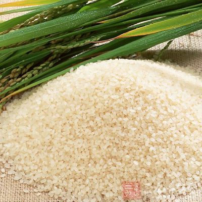 米、面及其他富含淀粉的食物可以提供碳水化合物、蛋白质、微量元素和维生素