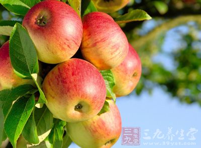 苹果含有丰富的矿物质和维生素