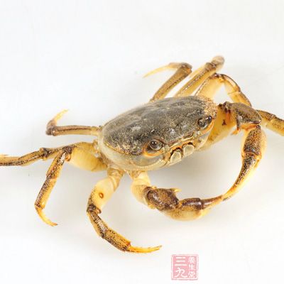 中医认为，螃蟹是比较寒凉的，而且它本身就有着活血化瘀的功效