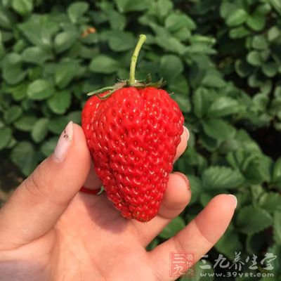 中医认为吃草莓可以去火、清暑、解热、除烦