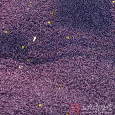 紫米比一般的白米营养价值要高一些