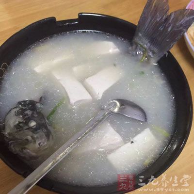 天麻沙锅鱼头汤