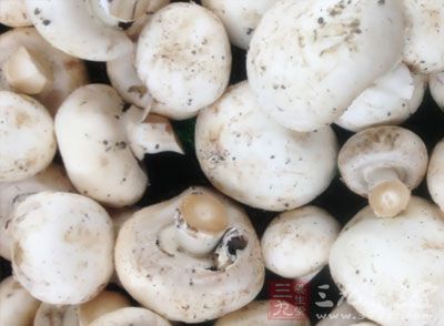 很多蘑菇都含有大量的抗癌矿物质硒