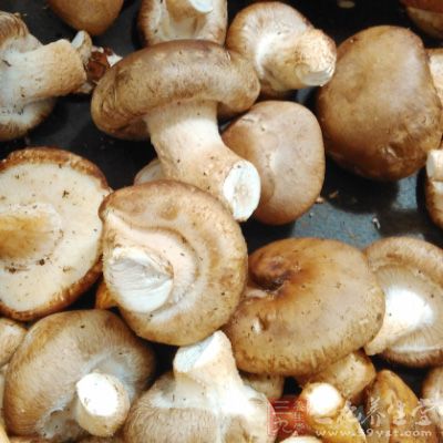 蘑菇可以提高免疫力，防女性贫血