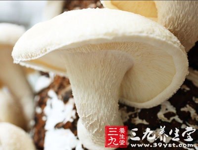 蘑菇可以预防乳腺癌