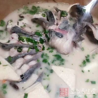 　鲫鱼蛤蜊汤