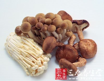 吃蘑菇可以长寿