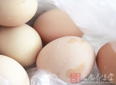 鸡蛋中丰富的蛋白质