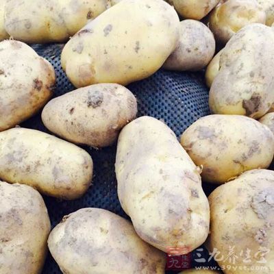 马铃薯中含有丰富的锌成分