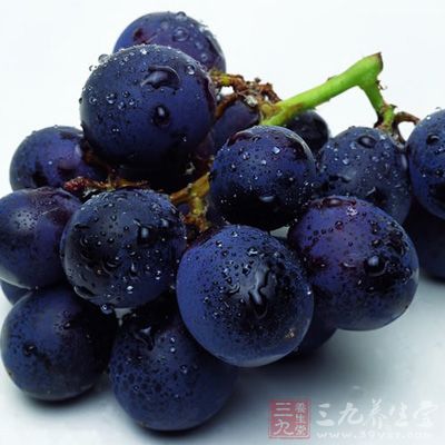 葡萄可谓是我们常见的水果了，中医上认为，葡萄能补气血，并且含有丰富维生素对保护肝脏起到不可替代的作用