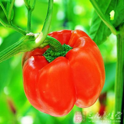 红甜椒含有极丰富的维生素C，可帮助胶原的修复与再生，而胶原就是构成肌肤结构的蛋白质