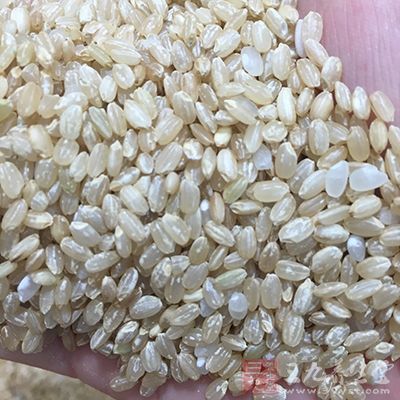 宜多用对肠道刺激非常小的糙米、大黄米、小米
