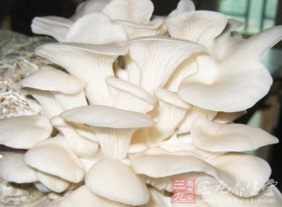 新鲜的口蘑运输中易磕碰，一般不会呈均一的纯白色，而是米白色，有碰伤处则呈浅褐色