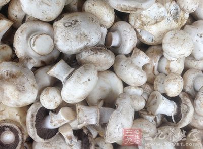 蘑菇等食物中富含的维生素D能促进钙的吸收