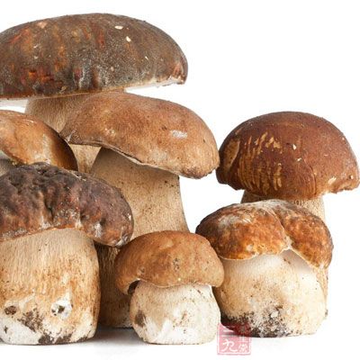 蘑菇含有蘑菇多糖，可抵抗绿脓杆菌的侵袭