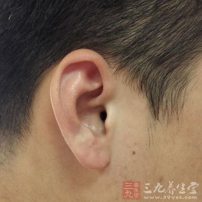 耳朵能够反映出身体各部分的变化