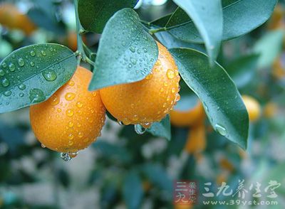 金橘中富含大量的维他命c，可具有刺激头皮新陈代谢的作用