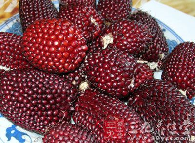 草莓玉米为当今最流行的创意栽培花卉品种
