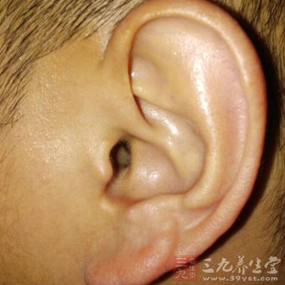 耳朵与肾脏有着密切的关系