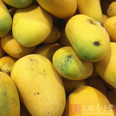 芒果含有超过20种以上人体必需的维生素和矿物质