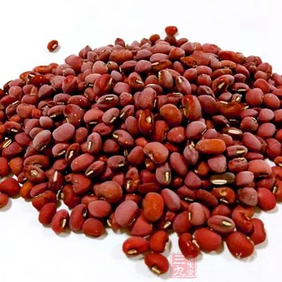 红豆富含维他命B1、B2、蛋白质及多种矿物质