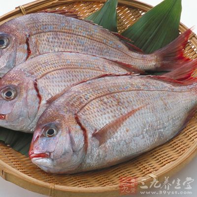 鱼类食物中含有各种丰富的微量食物