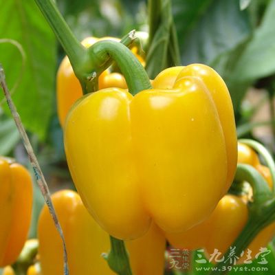 甜椒含有丰富的维生素C和β胡萝卜素