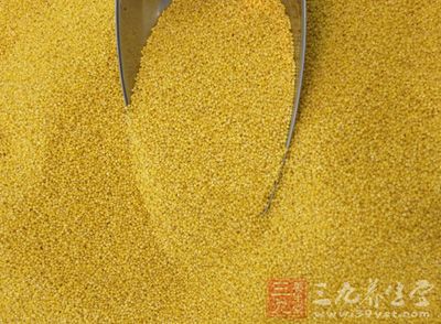 黄米富含蛋白质、碳水化合物、B族维生素、维生素E、锌、铜、锰等营养元素