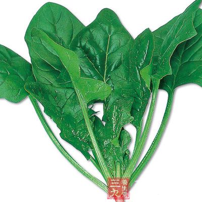 菠菜草酸含量高，妨碍钙质吸收