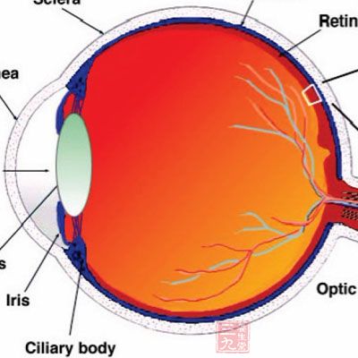 破坏视网膜，影响视力
