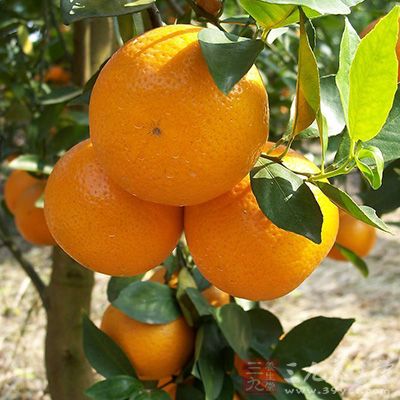 酸味很强的柑桔类水果与蜂蜜和在一起食用，或将柑桔榨汁加蜂蜜再用开水冲饮，对治疗咽喉肿痛十分有效