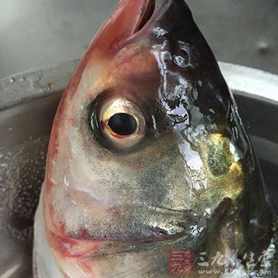 鱼头取出拆下鱼肉，油菜煸熟备用