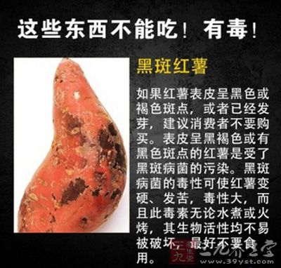 黑斑红薯毒性大