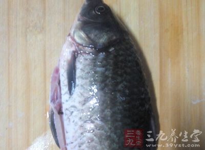 鱼类在日本人的饮食构成中比重较高