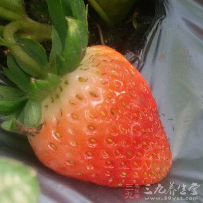 草莓属于春季的时令水果，它本身含有非常丰富的维生素C