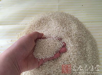 粳米是我国南方人民的主食，含有大量碳水化合物，约占 79%，是热量的主要来源