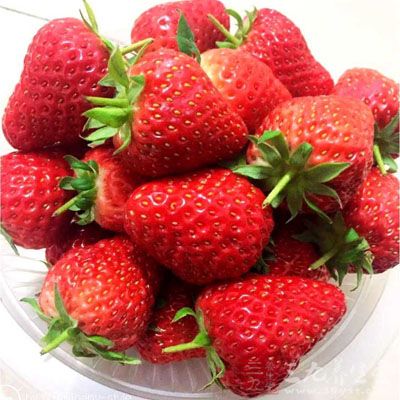 草莓中的维生素C含量非常高
