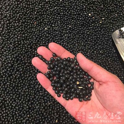 黑豆含有大量镁元素，每百克含镁157.3mg