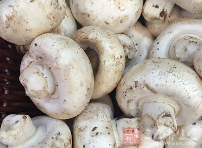 颜色太白太亮的口蘑可能浸过荧光增白剂，购买时最好选带有一点土，菌体不光滑有一点鳞片，根有点褐变的