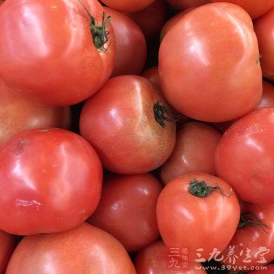西红柿具有很高的营养价值和药用价值